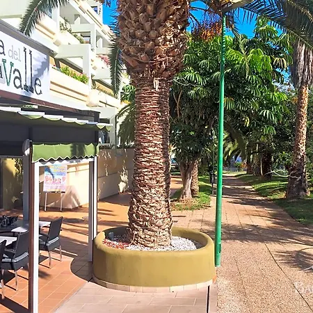 アパートホテル Bahia Playa 3*