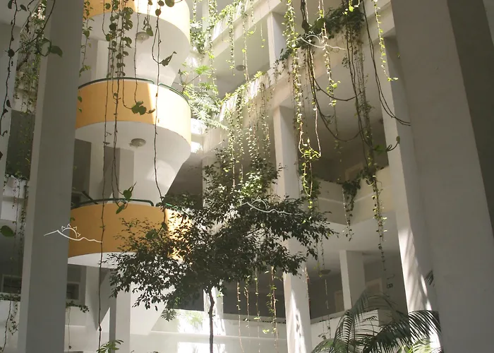 Bahia Playa 푸에르토 드 라 크루즈