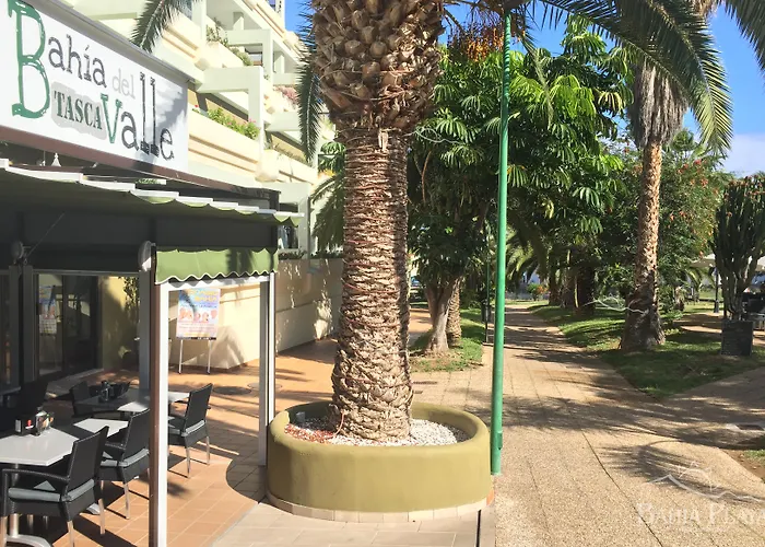 Bahia Playa 푸에르토 드 라 크루즈