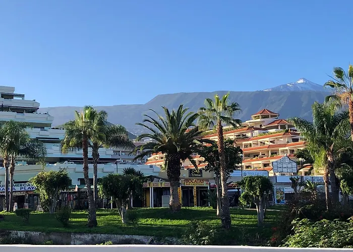 Bahia Playa 푸에르토 드 라 크루즈