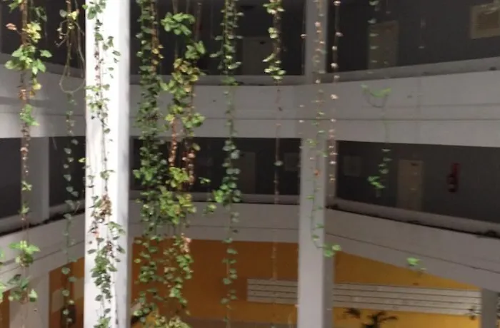 Bahia Playa Puerto de la Cruz (Tenerife)